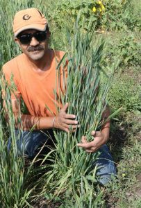 इंदौर के आग्रेनिक एक्सपो मेले में सजेंगे खरगोन की जैविक फसलों के स्टॉल