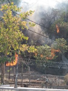 जबलपुर : मदन महल की पहाड़ी पर लगी भीषण आग, लाखों के पौधे जलकर हुए खाक