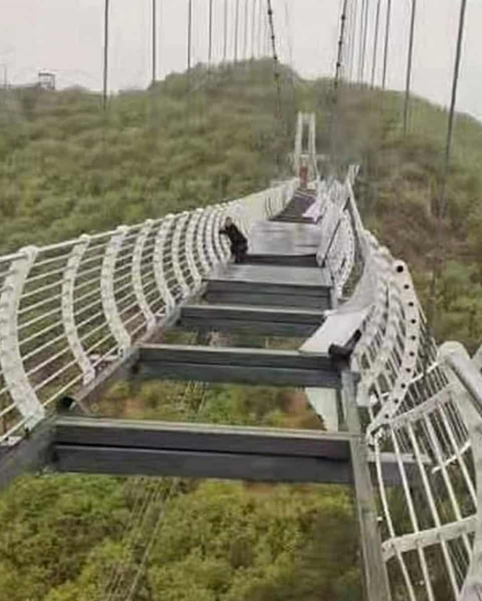 चीन का Glass bridge तेज आंधी में टूटा, 330 फीट ऊंचाई पर हवा में लटका टूरिस्ट