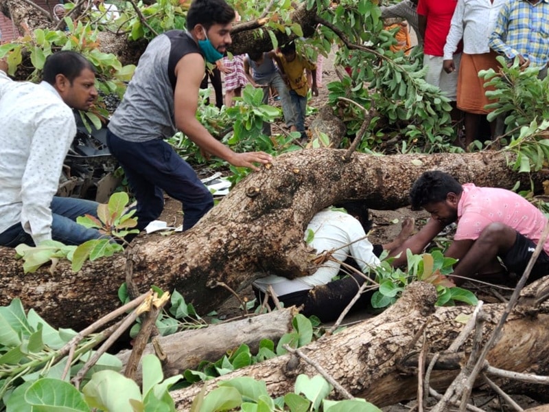 Narsinghpur Accident: स्टेट हाईवे पर बड़ा हादसा, पेड़ के नीचे दबकर 1 की मौत, एक घायल