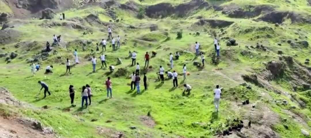 शंकरगढ़ पहाड़ी पर पौधारोपण का महाअभियान जारी, सैकड़ों की संख्या में रोपे गए पौधे