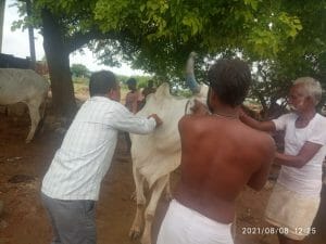 Gwalior News : प्रशासन पहुंचा बाढ़ प्रभावितों के पास, लगाए स्वास्थ्य-पशु चिकित्सा शिविर