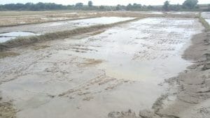 MP Flood: बाढ़ में उजड़ गया घर, भूख प्यास से तड़प रहे ग्रामीण, गंदा पानी पीने को मजबूर