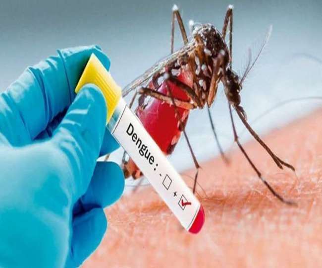 मासूम की डेंगू से मौत, जिम्मेदारों को भनक तक नहीं, अब कर रहे कार्रवाई की बात