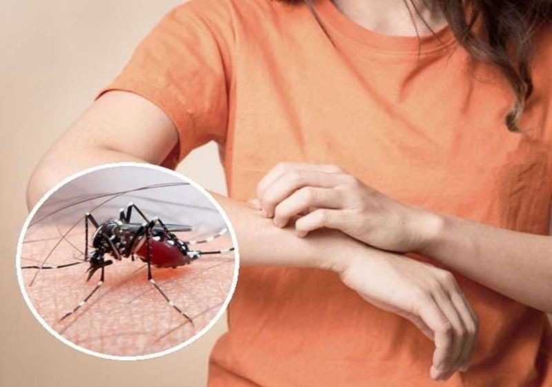 Dengue Platelets Increasing Tips