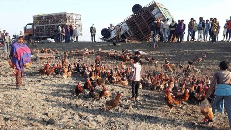 जब बीच सड़क ग्रामीणों ने लूटे मुर्गे-मुर्गियां