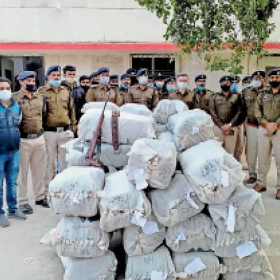 Indore News: इंदौर जोनल यूनिट ने 16 सौ किलो गांजा पकड़ा, पांच गिरफ्तार