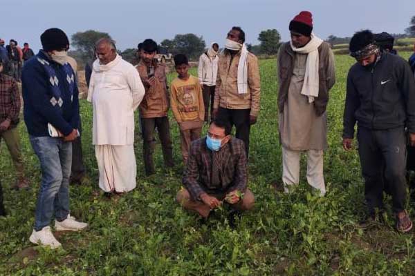 दतिया : कलेक्टर ने किसानों के खेतों पर पहुंचकर फसलों के नुकसान का लिया जायजा