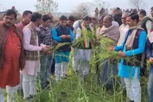 डबरा : ओलावृष्टि से हुआ फसलों का नुकसान, सांत्वना देने पहुँचे भाजपा और कांग्रेस नेता