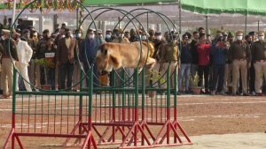 Gwalior : प्रभारी मंत्री सिलावट ने फहराया तिरंगा, BSF के श्वान दस्ते ने किया प्रभावित