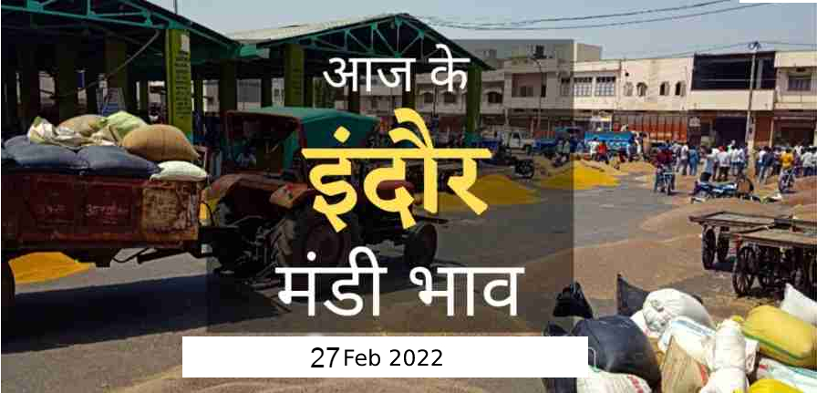 Mandi bhav: 27 फरवरी 2022 के Today’s Mandi Bhav के लिए पढ़े सबसे विश्वसनीय खबर