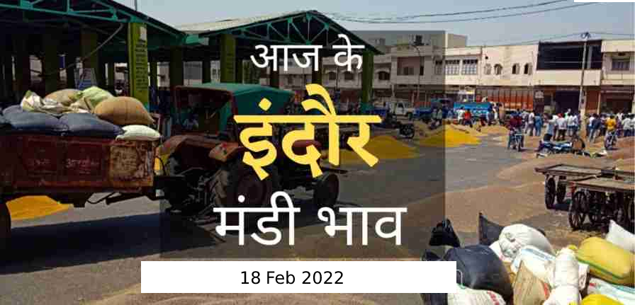 Mandi bhav: 18 फरवरी 2022 के Today’s Mandi Bhav के लिए पढ़े सबसे विश्वसनीय खबर