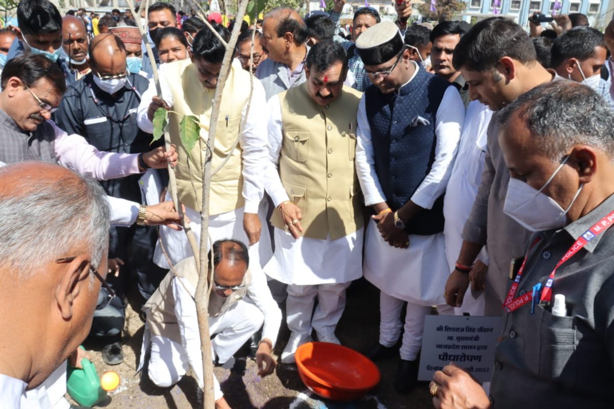 Mp News: नागरिकों के लिए खुशखबरी! लगाए एक पौधा और पाएं मध्यप्रदेश सरकार से पुरस्कार