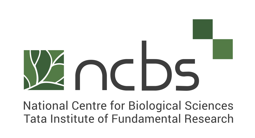 NCBS Recruitment: युवाओं के लिए सरकारी नौकरी का अवसर! कई पदों निकली भर्ती, जाने अन्य डिटेल्स  