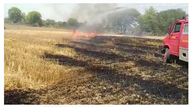 Bhind News: शॉर्ट सर्किट के चलते गेहूँ के खेत में लगी आग, गेहूँ की खड़ी फसल जलकर खाक