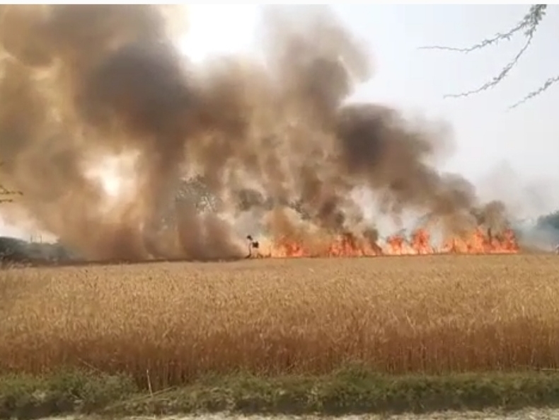 Jabalpur News : धूं-धूं कर जलकर खाक हो गई 35 एकड़ गेहूं की फसल