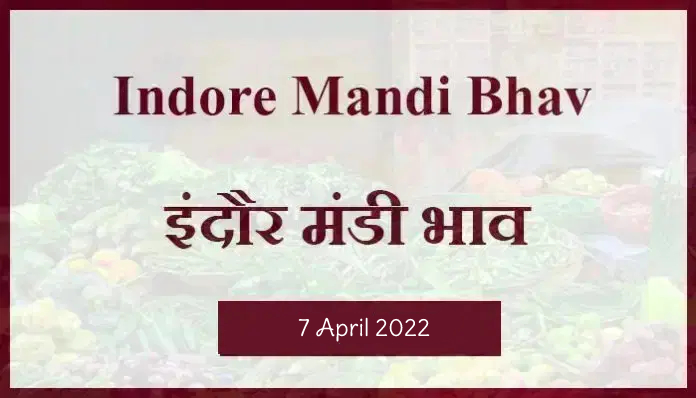 Mandi bhav: 7 अप्रैल 2022 के Today’s Mandi Bhav के लिए पढ़े सबसे विश्वसनीय खबर
