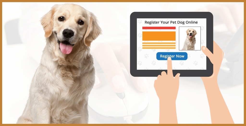Pet dog registration: यदि आपके पास है पालतू कुत्ता तो हो जाएं सावधान नहीं तो कट जाएगा चालान
