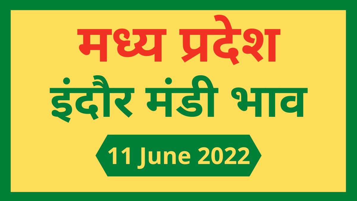 Mandi bhav: 11 जून 2022 के Today’s Mandi Bhav के लिए पढ़े सबसे विश्वसनीय खबर