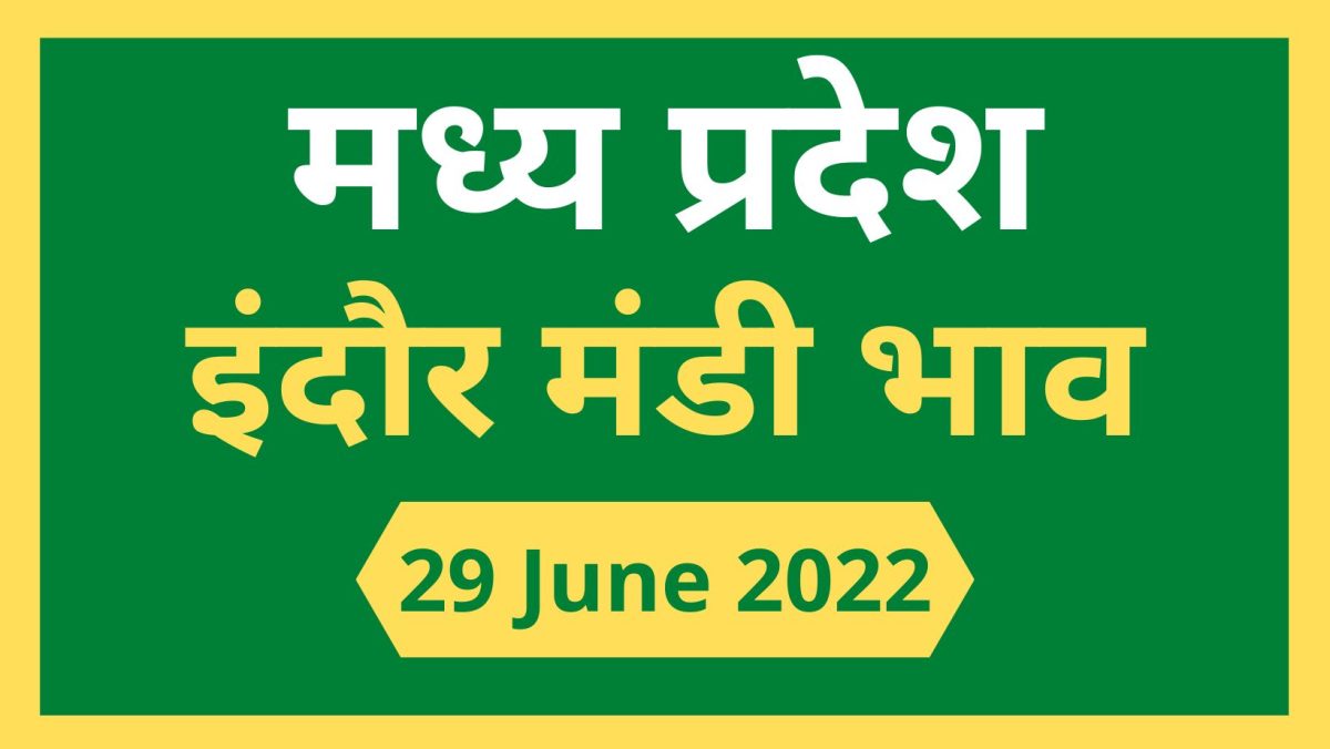 Mandi Bhav: 29 जून 2022 के Today’s Mandi Bhav के लिए पढ़े सबसे विश्वसनीय खबर