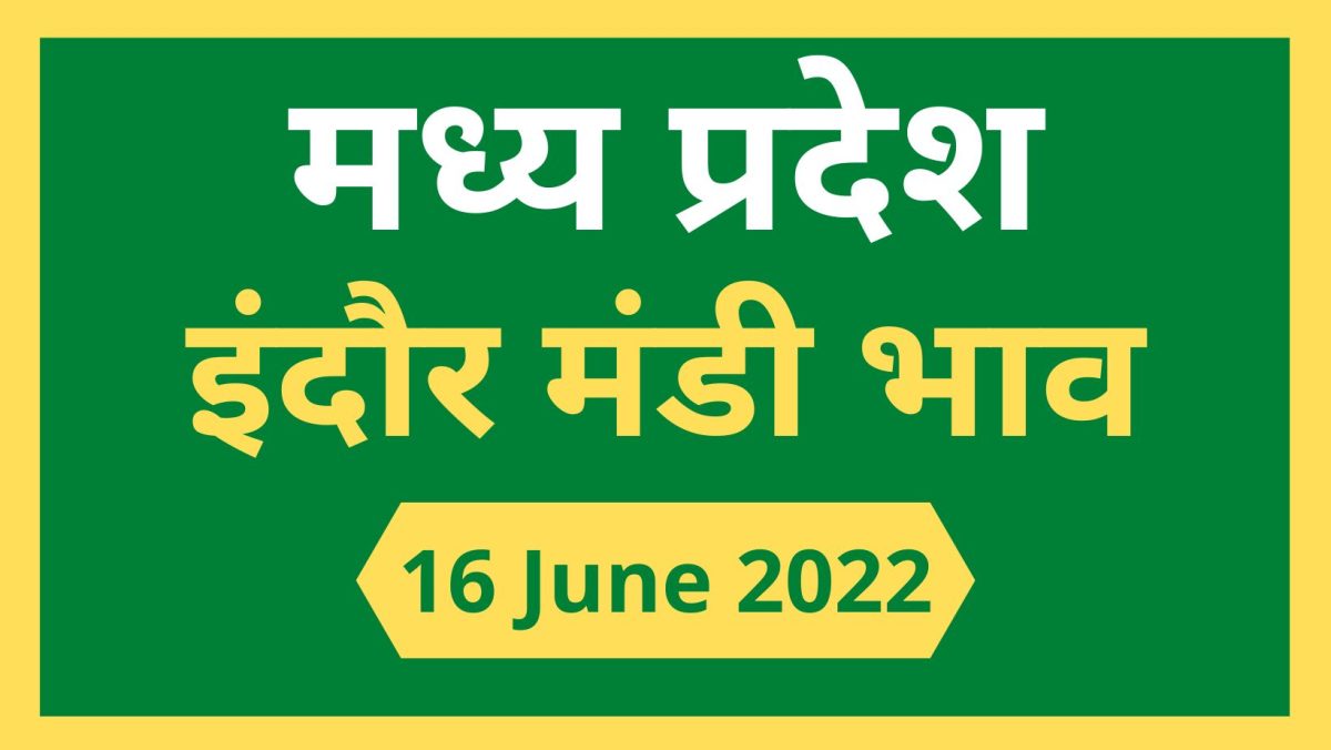 Mandi bhav: 16 जून 2022 के Today’s Mandi Bhav के लिए पढ़े सबसे विश्वसनीय खबर