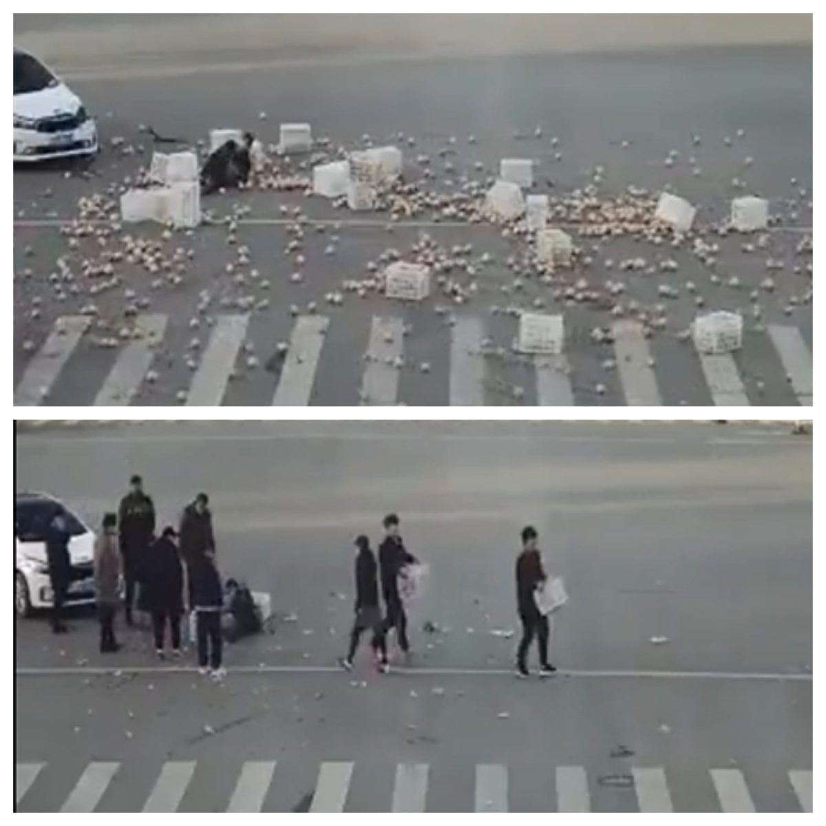 Video : कार की टक्कर से सड़क पर बिखर गए ढेर सारे सेब, फिर हुआ ये...