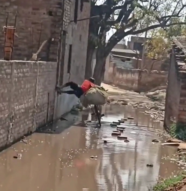 Video : देखिये देसी स्पाइडरमैन, पानी से बचने कि लिए निकाला ये कमाल का तरीका