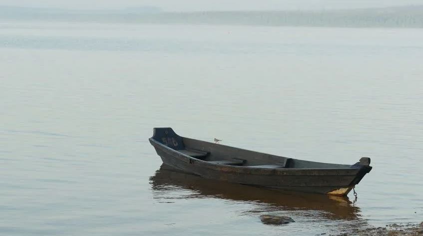 बिहार में लगती है नावों की मंडी, नेपाल सहित देश के कोने-कोने से आते है खरीददार