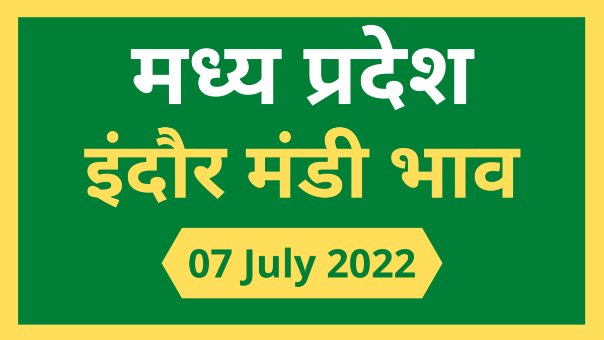 Mandi Bhav: 07 जुलाई 2022 के Today’s Mandi Bhav के लिए पढ़े सबसे विश्वसनीय खबर