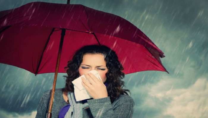 Health Tips : बारिश के मौसम में बीमारियों से कैसे रहें दूर, जाने स्वस्थ रहनें के आसान उपाय