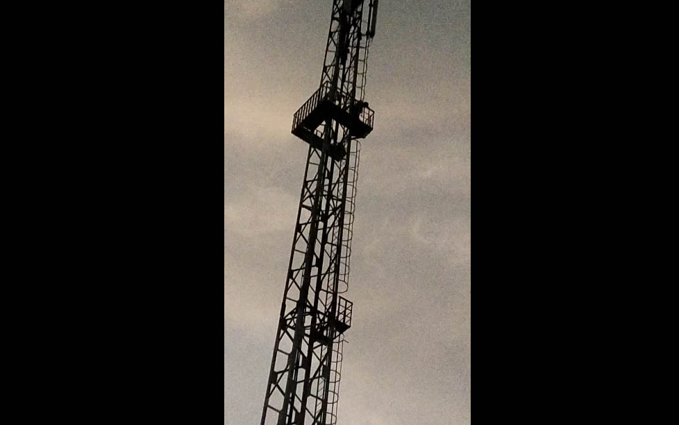 Neemuch : परिवार में विवाद के चलते मोबाइल फोन कंपनी के टावर पर चढ़ा युवक