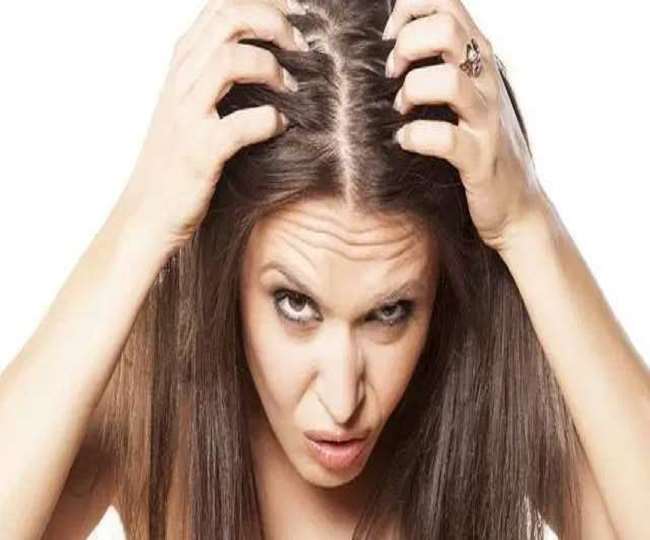 Hair Care Tips : झड़ते बालों से हैं परेशान, तो लगाएं इस तेल को और पाएं लंबे और घने बाल