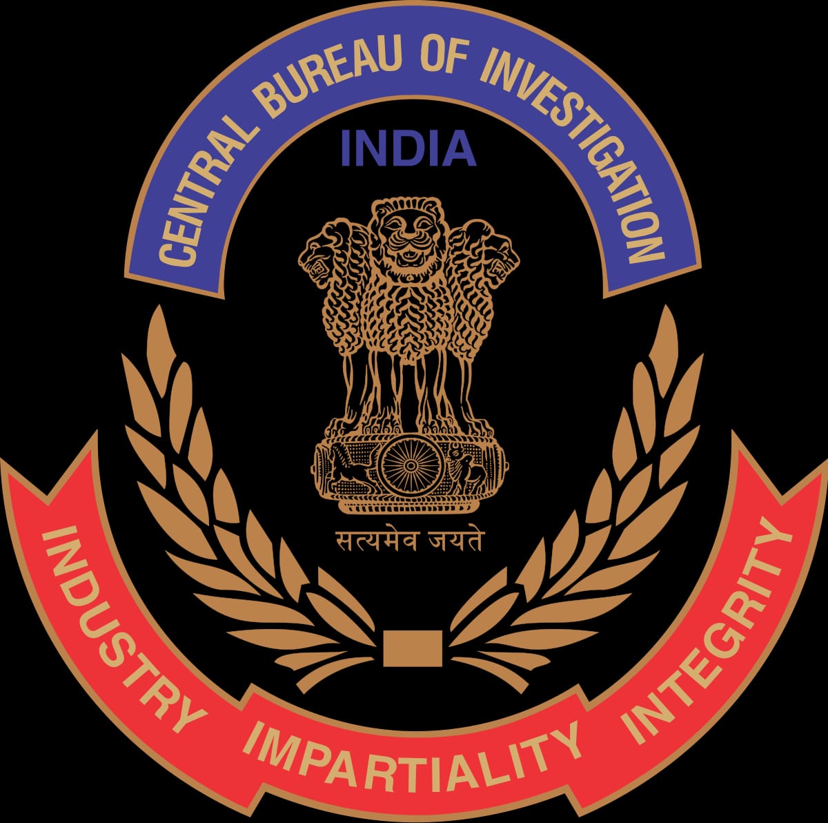 CBI infighting gets murkier, delhi police logo HD wallpaper | Pxfuel-cheohanoi.vn