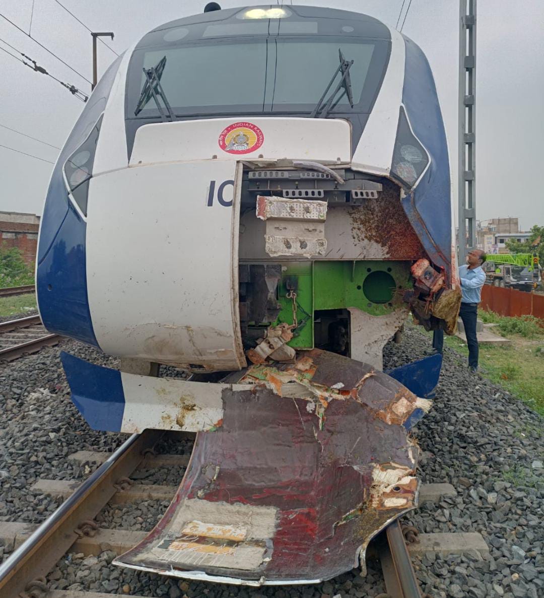 भैंसों के झुंड से टकराई Vande Bharat Express, मुंबई-गांधीनगर के बीच हुआ हादसा