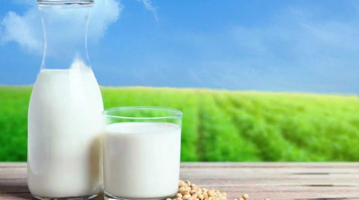 ज्यादा दूध पीने से हो सकती है सेहत खराब, इन बातों का रखें खयाल