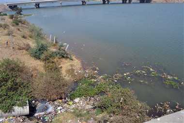 Ujjain: मोक्षदायिनी शिप्रा में मिल रहा गंदे नालों का पानी, स्वास्थ्य के लिए बन रहा खतरा