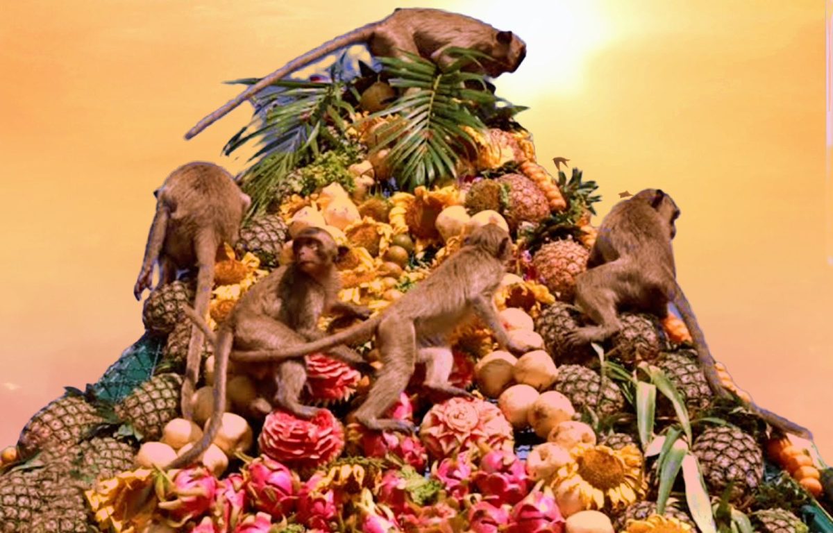 Monkey festival : बंदरों की दावत, खूब होती है आवभगत