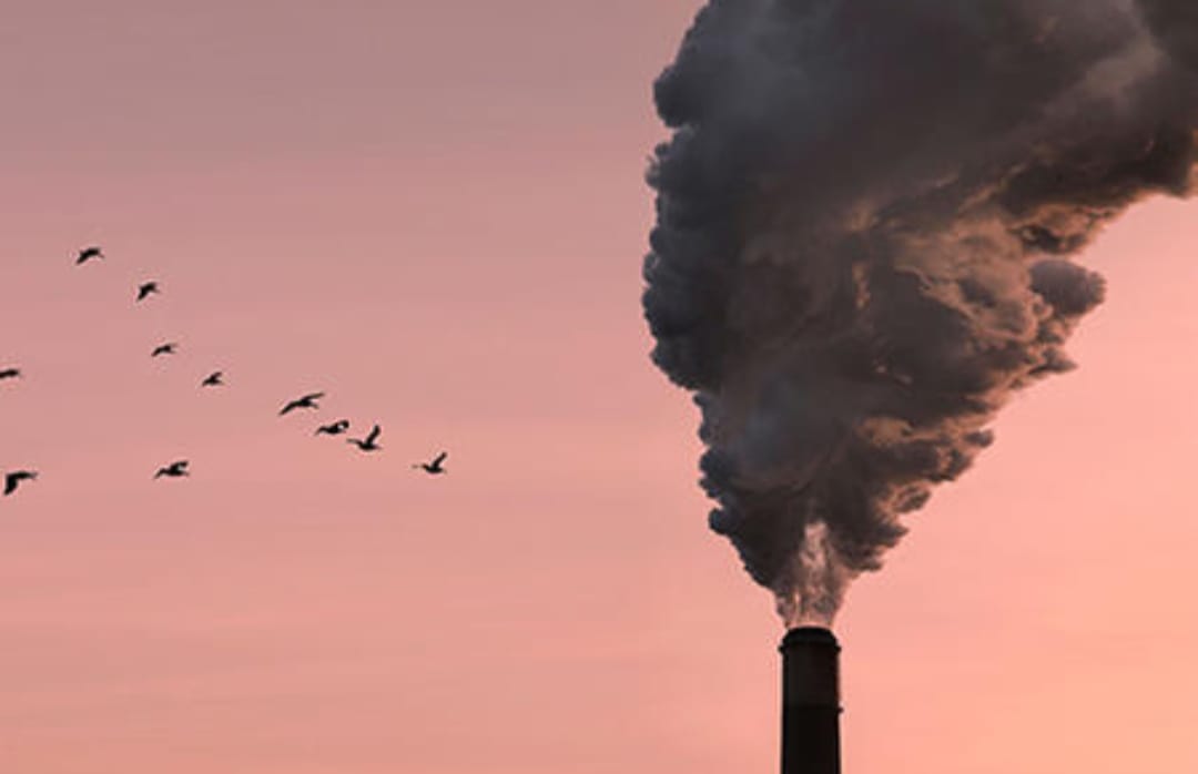 Indore News: वायु प्रदूषण रोकने के लिए निगम का सराहनीय कदम, सरकारी अलाव में नहीं होगा लकड़ी का इस्तेमाल
