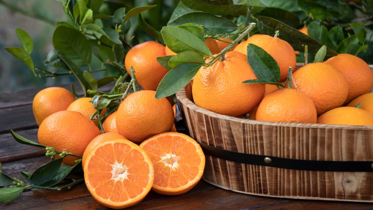 Benefits Of Oranges: सर्दियों में संतरा खाने से होते हैं कई फायदे, छिलकों में भी मिलते हैं कई गुण, चेहरे पर आएगा ग्लो, यहाँ जानें