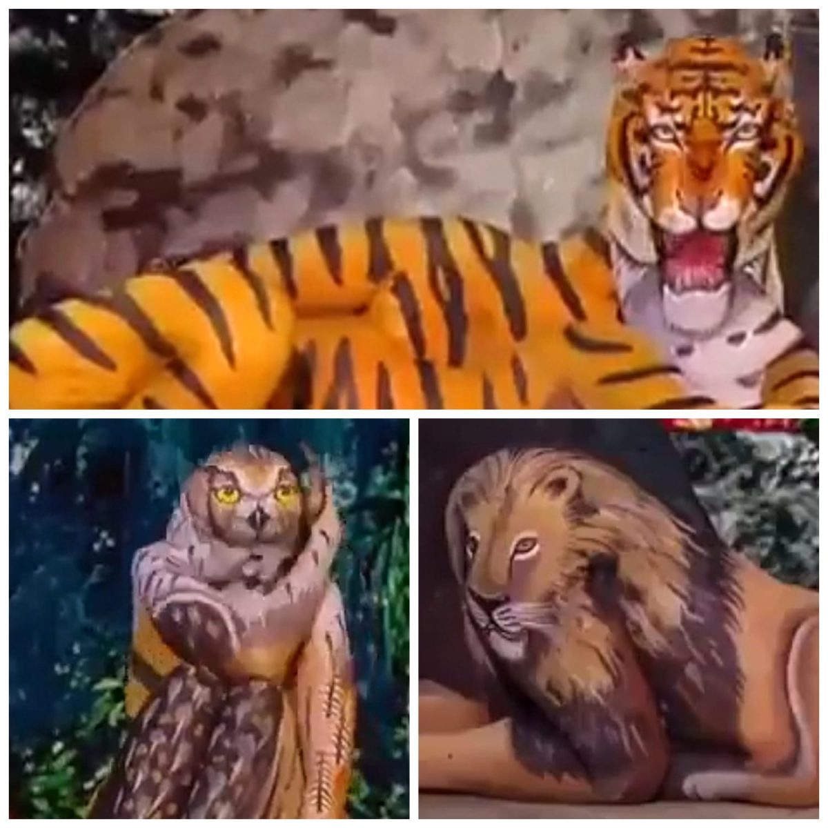Viral Video : इच्छाधारी नागिन के बाद अब पेश है इच्छाधारी उल्लू और शेर