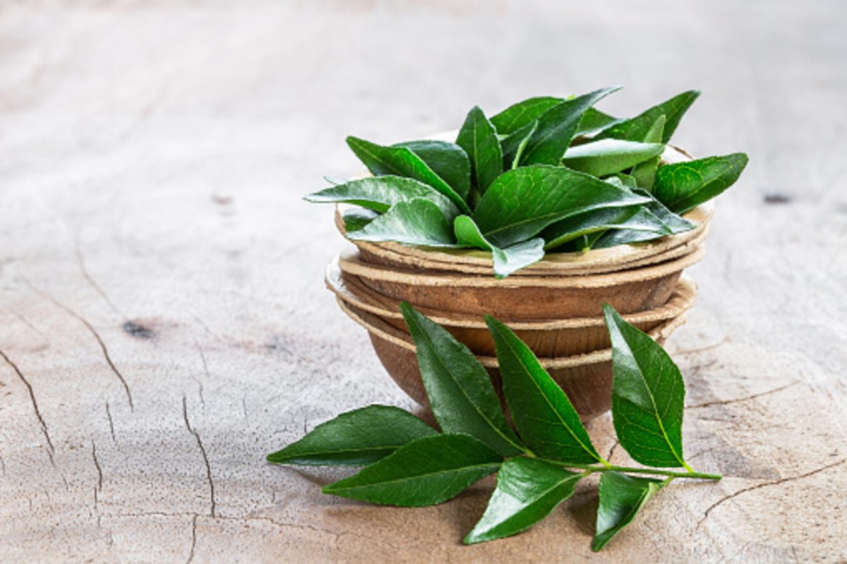 health tips, curry leaves