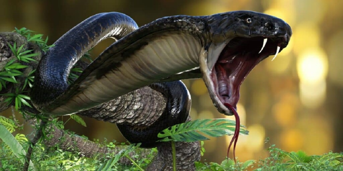 King Cobra Attack Video: किंग कोबरा के साथ खिलवाड़ करते नजर आया ये शख्स, चंद मिनटों में वीडियो हुआ वायरल