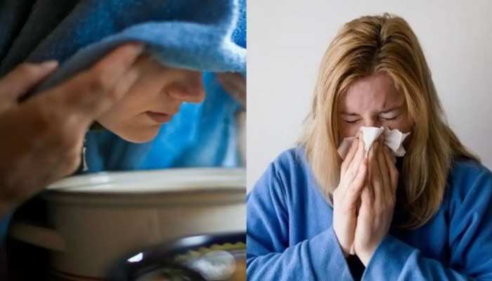 Home Remedies For Sneezing: बार-बार छींक आना हो सकता है किसी समस्या का संकेत, जानें यहां