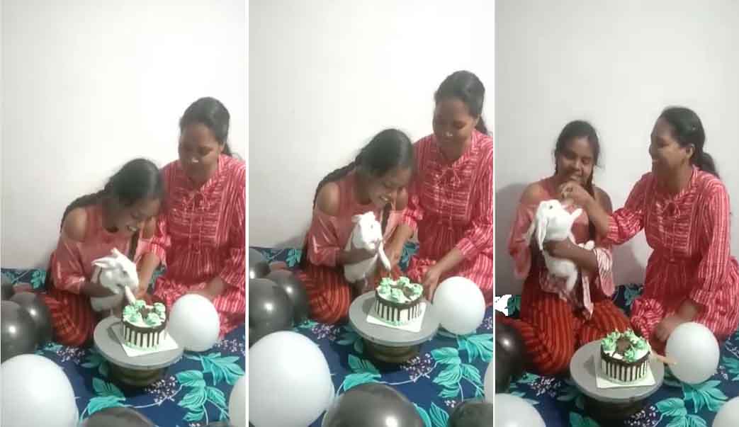 खरगोश ने काटा अपने जन्मदिन का केक, देखें वायरल वीडियो