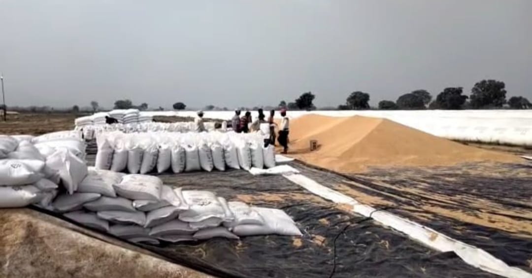 गेहूँ में रेत, मिट्टी मिलाने का मामला : खाद्य विभाग ने 6 कर्मचारियों के खिलाफ कराई FIR