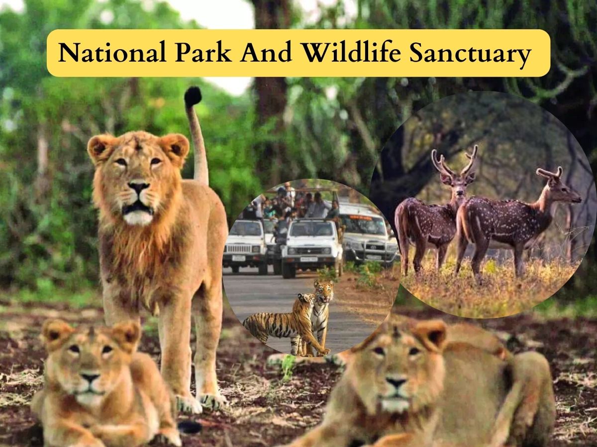 National Parks , Wildlife Sanctuary