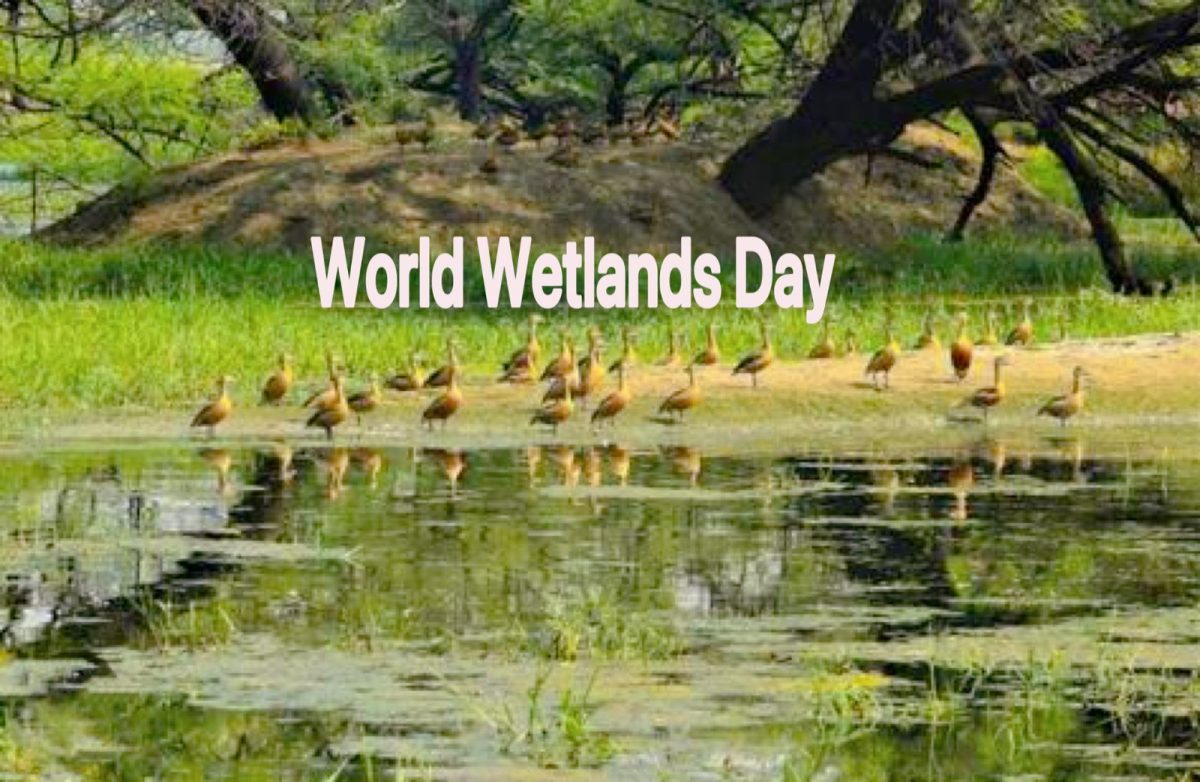 World Wetlands Day 2023 : जानिये क्यों मनाया जाता है वर्ल्ड वेटलैंड्स डे, इसका महत्व और आवश्यकता