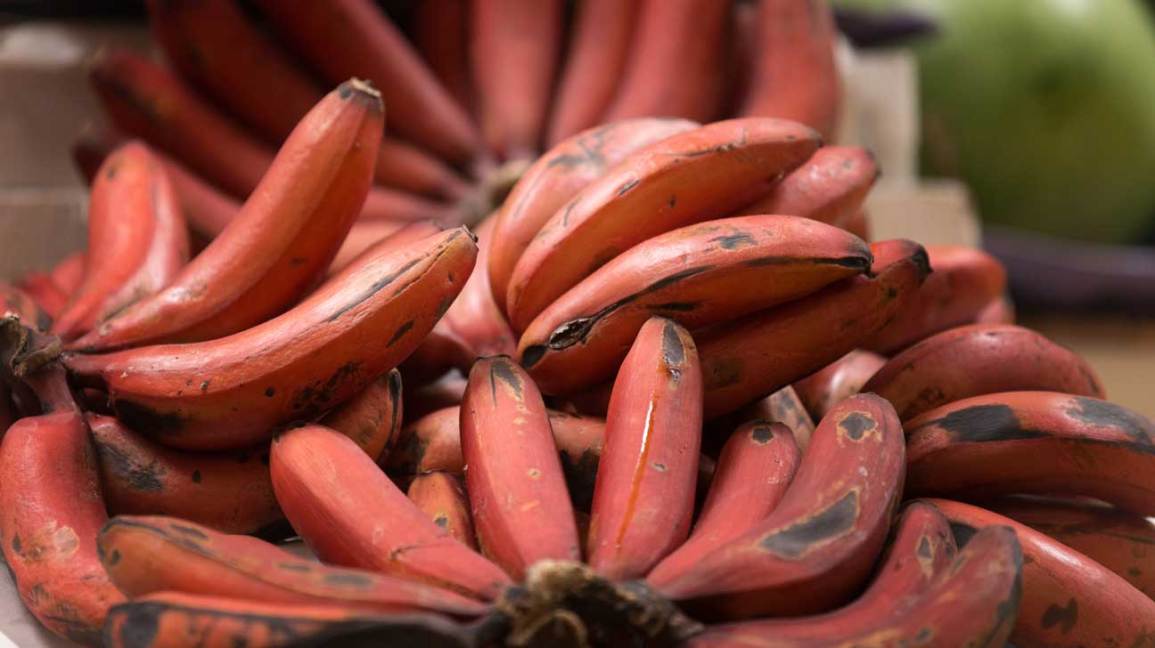 Red Banana Benefits