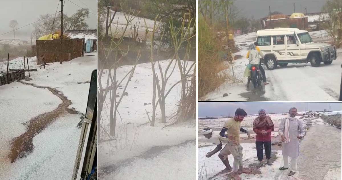 Khargone News : बेमौसम बारिश ने बरपाया कहर, गेहूं-चने की फसलें बर्बाद