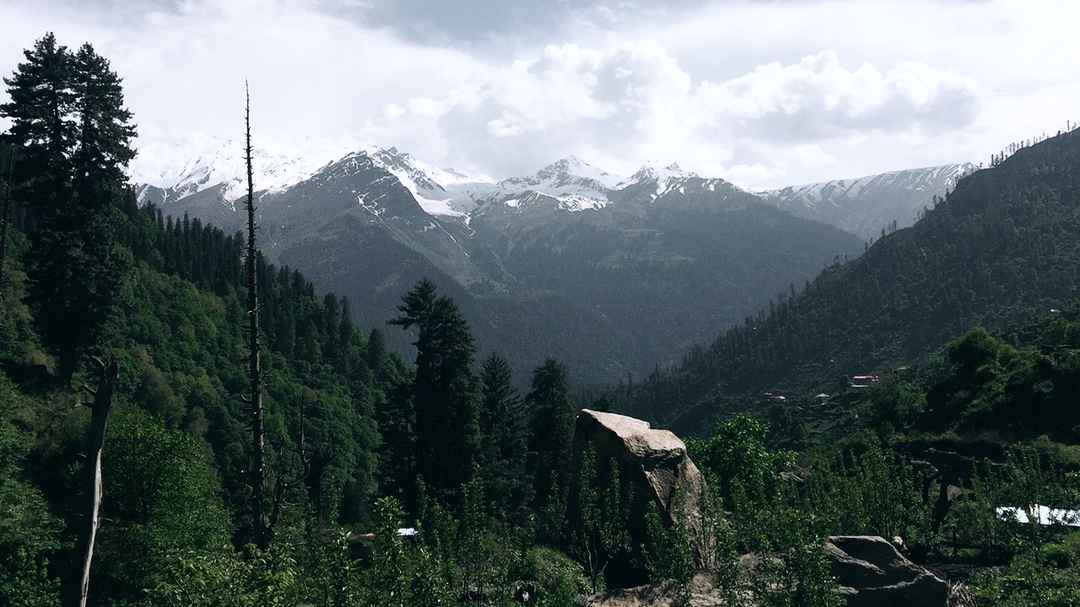 Himachal Pradesh Tourism: हिमाचल की हसीन वादियों में बसा है 'सोसन', इसकी खूबसूरती के आगे शिमला भी लगता है फीका